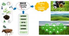 智慧農(nóng)業(yè)